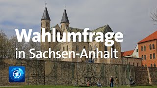 SachsenAnhalt Umfrage vor der Landtagswahl [upl. by Sonny]