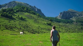 Éleveurs des Pyrénées  La Portera [upl. by Irahs]