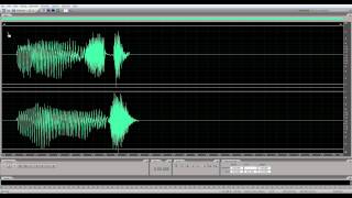 Adobe Audition CS55 Left  Right Channel Select [upl. by Stier166]