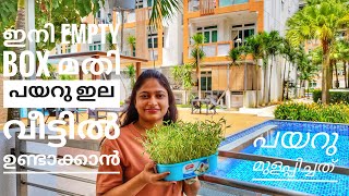 Cherupayar ila thoran  Payarila thoran  Mung bean leaf  Healthy home made leaf  Malayalam Vlog 7 [upl. by Tebor]