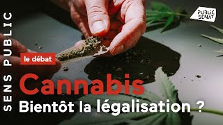 Cannabis  Bientôt la légalisation [upl. by Gunning356]