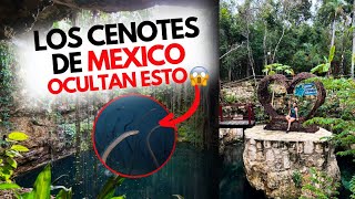 MI EXPERIENCIA visitando los CENOTES en México ¡descubrí esto 😲cancun viajes [upl. by Chader]