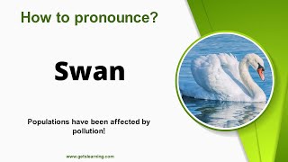 How to pronounce Swan in English correctly [upl. by Sidhu]