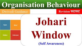 Johari Window Self Awareness johari window in hindi johari window explained OB [upl. by Auoy755]