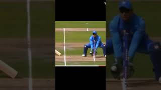 Jadeja best fielding [upl. by Sewoll]