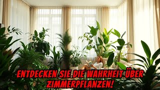 Die WAHRHEIT über die PFLEGE von INNENPFLANZEN 🌿🏡 [upl. by Luttrell440]