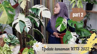 Tren Tanaman Hias 2022  PART 2  epipremnum variegata istimewa 💜 [upl. by Eliott]