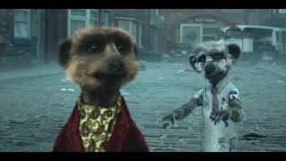 Compare the Market  Meerkat Movies  Coronation Street 2015 UK [upl. by Eilagam]