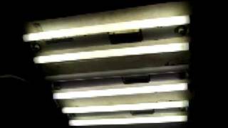 Fluorescent lamp startup [upl. by Vastah540]