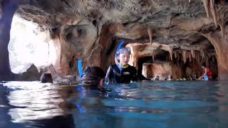 Inside Tips on Visiting Discovery Cove  Orlando FL [upl. by Preuss420]