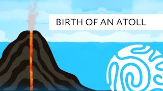 Birth of an Atoll [upl. by Enytsirhc]