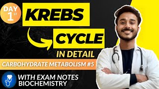 kreb cycle biochemistry  citric acid cycle biochemistry cycle carbohydrate metabolism biochemistry [upl. by Higbee]