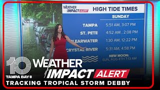 Countybycounty impacts of Tropical Storm Debby across Tampa Bay [upl. by Letha202]