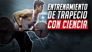 El mejor entrenamiento de trapecio  CIENTÍFICAMENTE COMPROBADO [upl. by Melicent407]