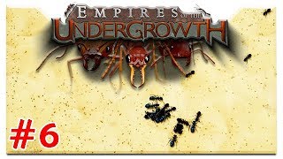 Tiefschlag Nr 2  6  Lets Play Empires Of The Undergrowth  Early Access  HD  Deutsch Cigar0 [upl. by Ehtnax]