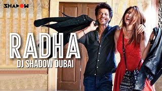 Radha Remix  DJ Shadow Dubai  Jab Harry Met Sejal [upl. by Rednirah]