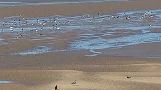 4K60FPSHIRES 🚶 Coastal walk Leasowe Lighthouse to Hoylake Lifeboat Station 🚶 August 30th 2024 [upl. by Aramoy]