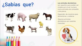 Animales domésticos y silvestres 1er grado [upl. by Hamfurd]