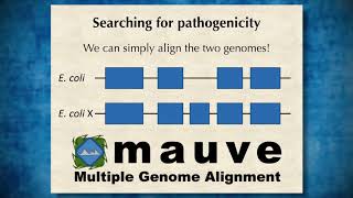 Genome Assembly 3 Assembling genomes from sequence data [upl. by Adelia44]