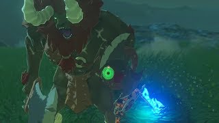 Red Lynel Kill in 5 Seconds  Zelda Breath of the Wild [upl. by Onder]