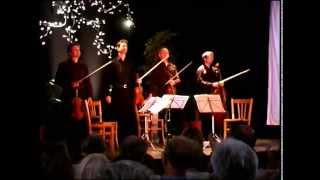 Quatuor Sine Nomine  Live festival les Musicaves 2010 [upl. by Niuqram929]