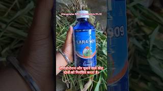 Lara 909 uses  Chlorpyriphos 50  Cypermethrin 5 EC shorts farming agriculture trending [upl. by Fania222]