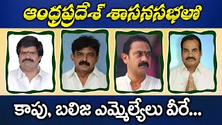 Andhra Pradesh Kapu Balija Caste MLAs Profiles 2019  AP Assembly  Ontari Telaga  BCTimes [upl. by Yenitsed698]