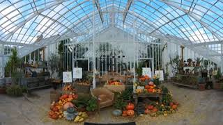 Autumn Display in the Glasshouse at Clumber Park in 360 cared for by the National Trust [upl. by Ahcsas]