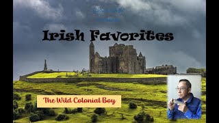 Magical Sound of the Harmonica The Wild Colonial Boy an Irish folk song [upl. by Presber]