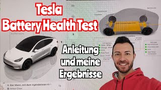 Tesla Akku Gesundheit nach 2 Jahren – So führst Du den Battery Health Test durch [upl. by Akanke370]