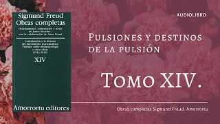 Freud Tomo XIV Pulsiones y destinos de pulsión 1915 en Audio [upl. by Wasson880]