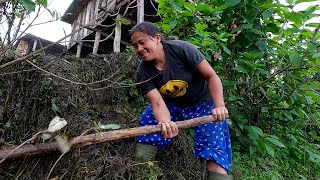 sarmila working in the farm house  village life of Nepal  bhumicooking [upl. by Ahsaenat]