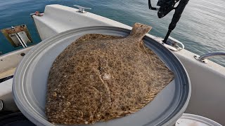 Boat Fishing For Turbot and Brill  How Many Did We Actually Catch  Sea Fishing UK [upl. by Nod834]