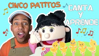 Canta y Aprende con Pancho  Cinco Patitos  Canción Infantil [upl. by Mindy274]