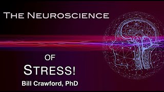 The Neuroscience of Stress [upl. by Merrell]