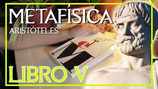 ARISTÓTELES METAFÍSICA LIBRO V PRINCIPIOS Y CAUSAS  AUDIOLIBRO EN ESPAÑOL [upl. by Twila512]