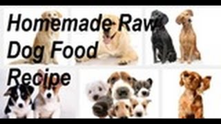 How to Make Raw Dog Food  Organic Recipe [upl. by Ydna85]