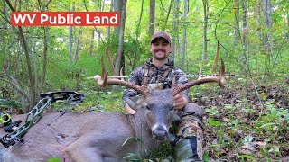 Wide West Virginia Public Land 12pt Whitetail  Double Lunged Buck Goes 1300yds  23 14 Spread [upl. by Boorman]