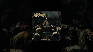 Repugnance   Shrouds Of Deceit DeathMetal BrutalDeathMetal [upl. by Ahsiekim]