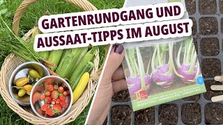 Was ernten und säen wir im August Gartenrundgang und Aussaattipps [upl. by Lezti]