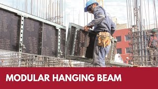 Video Alsina Modular Hanging Beam System [upl. by Pitzer105]