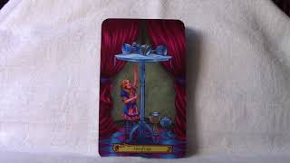 Tarot in Wonderland Full Flip Through [upl. by Hofmann]