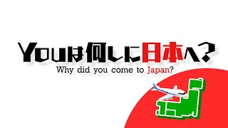 YOUは何しに日本へ？で紹介された‼️ やったー‼️😆【Japanese ver】 [upl. by Abrahamsen]