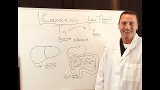 What Is Thyroid Conversion Inactive T4 to Active T3 Pathway [upl. by Gilford]