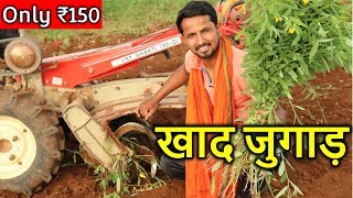 उपजाऊ जमीन के लिए सबसे सस्ता जुगाड़  Indian Farmer Desi Jugaad Agriculture  Dhencha  Green Manure [upl. by Zug]