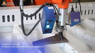 MINYUE TECH NonTeach Robotic Cutting [upl. by Venus]