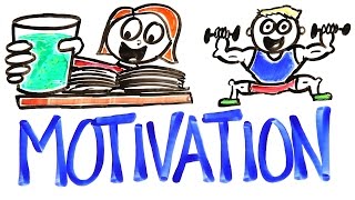 The Science Of Motivation [upl. by Kondon]