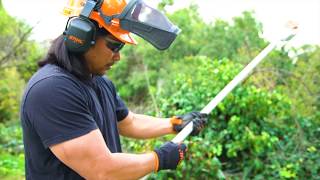 STIHL HTA 85 Cordless Pole Saw Pruner Review [upl. by Anitsugua]