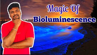 The Magic of Bioluminescence  ஒளிரும் உயிரினங்கள் coimbatore bioluminescence [upl. by Ahsenik]