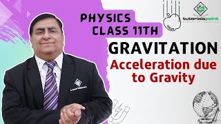 Class 11th – Acceleration due to Gravity  Gravitation  Tutorials Point [upl. by Milak516]